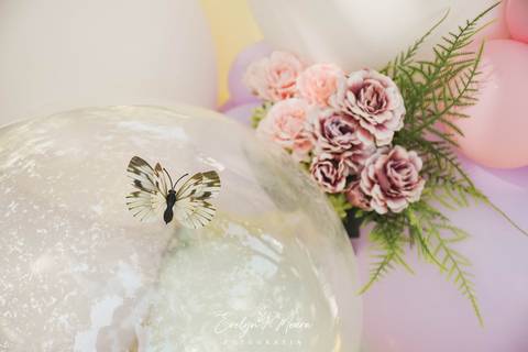 Ensaio de Acompanhamento de bebê. Evelyn Moura Fotografia. Fotógrafa em Niterói, Rio de Janeiro. Newborn. Festa infantil - Smash the cake - Smash the fruit - bebê - ensaio de 1 ano - viral - jardim encantado - festa de aniversário'