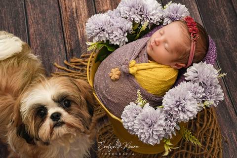 Newborn - Parto - Evelyn Moura Fotografia em Niterói, Rio de Janeiro - ensaio infantil - newborn de recém nascido'