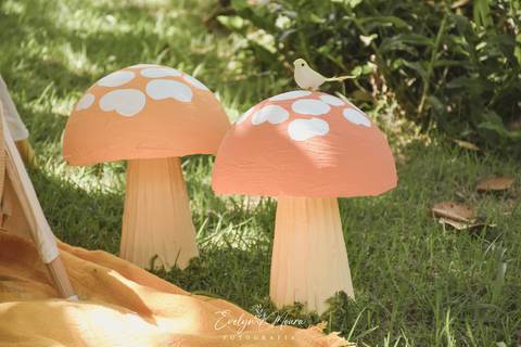 Ensaio de Acompanhamento de bebê. Evelyn Moura Fotografia. Fotógrafa em Niterói, Rio de Janeiro. Newborn. Festa infantil - Smash the cake - Smash the fruit - bebê - ensaio de 1 ano - viral - jardim encantado - festa de aniversário - floresta encantada '