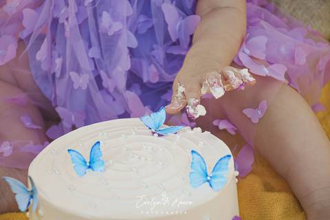 Ensaio de Acompanhamento de bebê. Evelyn Moura Fotografia. Fotógrafa em Niterói, Rio de Janeiro. Newborn. Festa infantil - Smash the cake - Smash the fruit - bebê - ensaio de 1 ano - viral - jardim encantado - festa de aniversário - floresta encantada '