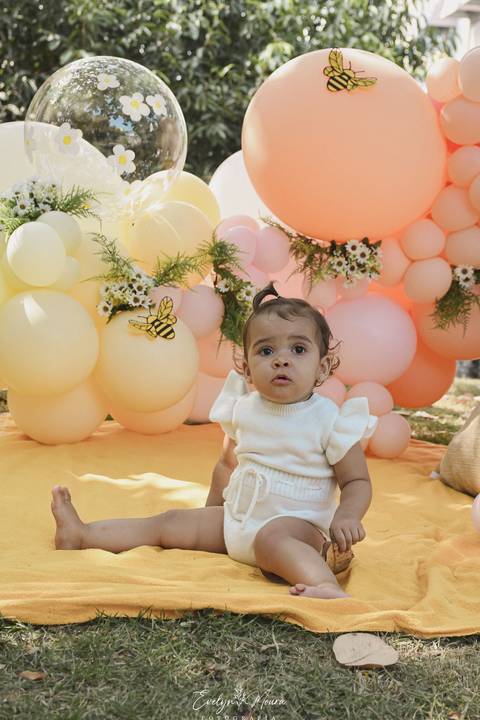 Ensaio de Acompanhamento de bebê. Evelyn Moura Fotografia. Fotógrafa em Niterói, Rio de Janeiro. Newborn. Festa infantil - Smash the cake - Smash the fruit - bebê - ensaio de 1 ano - viral - tema margarida - tema abelhinha '