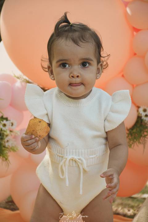 Ensaio de Acompanhamento de bebê. Evelyn Moura Fotografia. Fotógrafa em Niterói, Rio de Janeiro. Newborn. Festa infantil - Smash the cake - Smash the fruit - bebê - ensaio de 1 ano - viral - tema margarida - tema abelhinha '