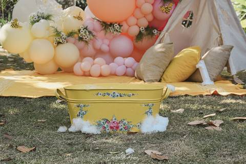 Ensaio de Acompanhamento de bebê. Evelyn Moura Fotografia. Fotógrafa em Niterói, Rio de Janeiro. Newborn. Festa infantil - Smash the cake - Smash the fruit - bebê - ensaio de 1 ano - viral - tema margarida - tema abelhinha '