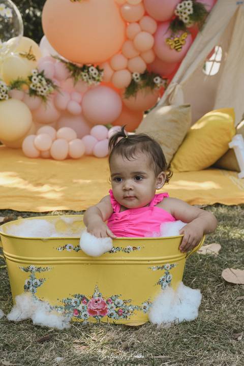 Ensaio de Acompanhamento de bebê. Evelyn Moura Fotografia. Fotógrafa em Niterói, Rio de Janeiro. Newborn. Festa infantil - Smash the cake - Smash the fruit - bebê - ensaio de 1 ano - viral - tema margarida - tema abelhinha '