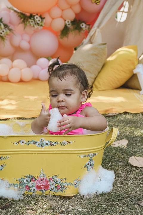 Ensaio de Acompanhamento de bebê. Evelyn Moura Fotografia. Fotógrafa em Niterói, Rio de Janeiro. Newborn. Festa infantil - Smash the cake - Smash the fruit - bebê - ensaio de 1 ano - viral - tema margarida - tema abelhinha '