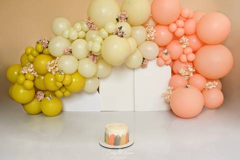 Ensaio de Acompanhamento de bebê. Evelyn Moura Fotografia. Fotógrafa em Niterói, Rio de Janeiro. Newborn. Festa infantil - Smash the cake - Smash the fruit - bebê - ensaio de 1 ano - viral - disney - festa de aniversário - bahoo - ensaio bahoo - mikey '