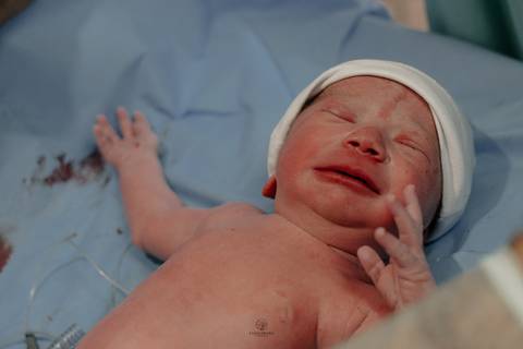 Fotografia de Parto - Newborn - Evelyn Moura Fotografia em Niterói, Rio de Janeiro - ensaio infantil - newborn de recém nascido - partos - parto em niteroi - registro de parto - maternidade são francisco - doce nascer - parto humanizado - andrea barbosa '