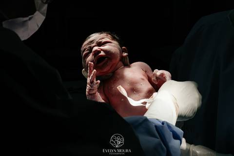 Fotografia de Parto - Newborn - Evelyn Moura Fotografia em Niterói, Rio de Janeiro - ensaio infantil - newborn de recém nascido - partos - parto em niteroi - registro de parto - maternidade são francisco - doce nascer - parto humanizado - andrea barbosa '