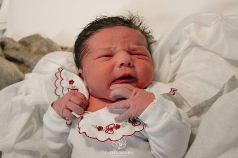 Fotografia de Parto - Newborn - Evelyn Moura Fotografia em Niterói, Rio de Janeiro - ensaio infantil - newborn de recém nascido - partos - parto em niteroi - registro de parto - maternidade são francisco - doce nascer - parto humanizado - andrea barbosa '