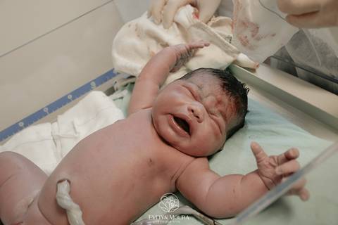 Fotografia de Parto - Newborn - Evelyn Moura Fotografia em Niterói, Rio de Janeiro - ensaio infantil - newborn de recém nascido - partos - parto em niteroi - registro de parto - maternidade são francisco - doce nascer - parto humanizado - andrea barbosa '