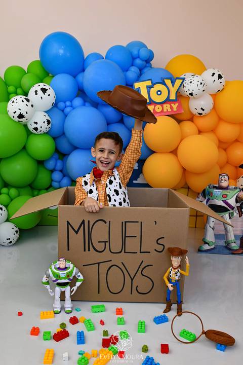 ensaio pre festa - ensaio em niteroi, rio de janeiro - ensaio infantil - toy story'