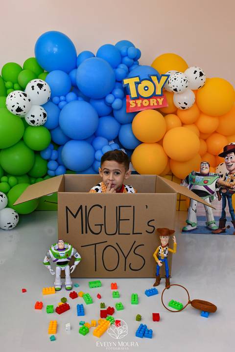 ensaio pre festa - ensaio em niteroi, rio de janeiro - ensaio infantil - toy story'