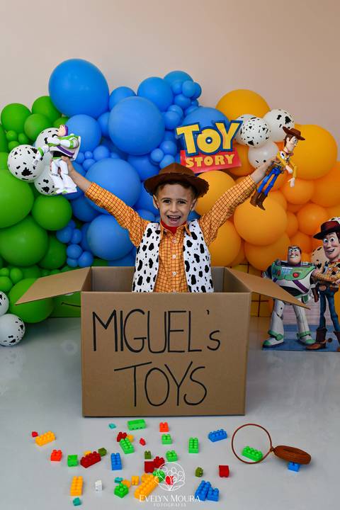 ensaio pre festa - ensaio em niteroi, rio de janeiro - ensaio infantil - toy story'