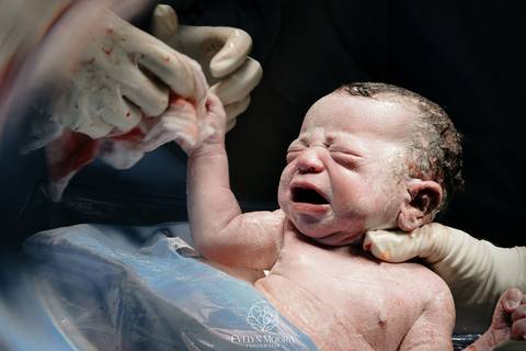 Fotografia de Parto - Newborn - Evelyn Moura Fotografia em Niterói, Rio de Janeiro - ensaio infantil - newborn de recém nascido - partos - parto em niteroi - registro de parto - maternidade são francisco - doce nascer - parto humanizado - andrea barbosa '