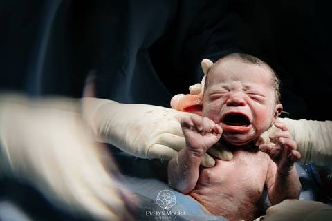 Fotografia de Parto - Newborn - Evelyn Moura Fotografia em Niterói, Rio de Janeiro - ensaio infantil - newborn de recém nascido - partos - parto em niteroi - registro de parto - maternidade são francisco - doce nascer - parto humanizado - andrea barbosa '