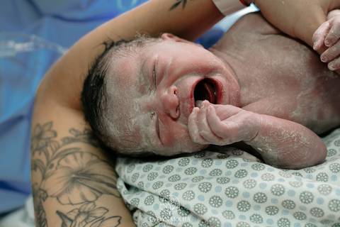 Fotografia de Parto - Newborn - Evelyn Moura Fotografia em Niterói, Rio de Janeiro - ensaio infantil - newborn de recém nascido - partos - parto em niteroi - registro de parto - maternidade são francisco - doce nascer - parto humanizado - andrea barbosa '