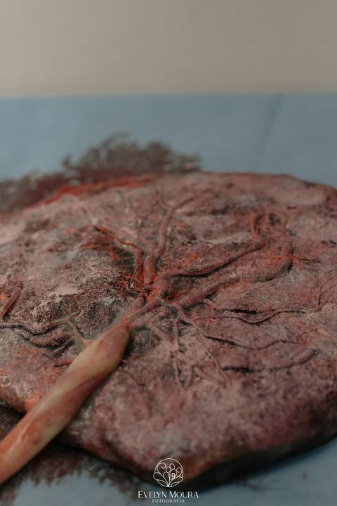 Fotografia de Parto - Newborn - Evelyn Moura Fotografia em Niterói, Rio de Janeiro - ensaio infantil - newborn de recém nascido - partos - parto em niteroi - registro de parto - maternidade são francisco - doce nascer - parto humanizado - andrea barbosa '