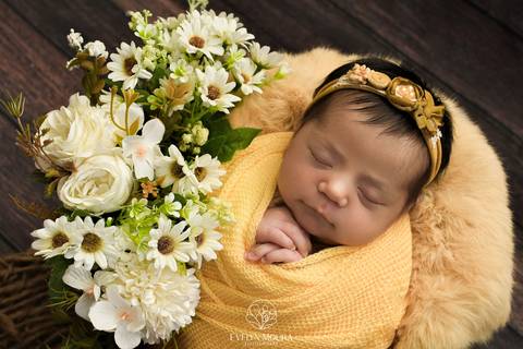 Newborn - Parto - Evelyn Moura Fotografia em Niterói, Rio de Janeiro - ensaio infantil - newborn de recém nascido'