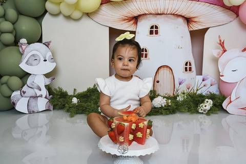Ensaio de Acompanhamento de bebê. Evelyn Moura Fotografia. Fotógrafa em Niterói, Rio de Janeiro. Newborn. Festa infantil - Smash the cake - Smash the fruit - bebê - ensaio de 1 ano - viral - disney - festa de aniversário - jardim encantado - floresta '