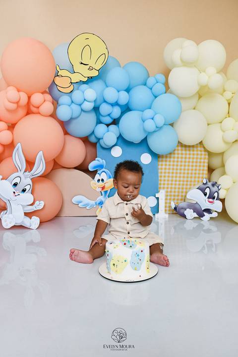 Ensaio de Acompanhamento de bebê. Evelyn Moura Fotografia. Fotógrafa em Niterói, Rio de Janeiro. Newborn. Festa infantil - Smash the cake - Smash the fruit - bebê - ensaio de 1 ano - viral - disney - festa de aniversário - baby looney tunes'