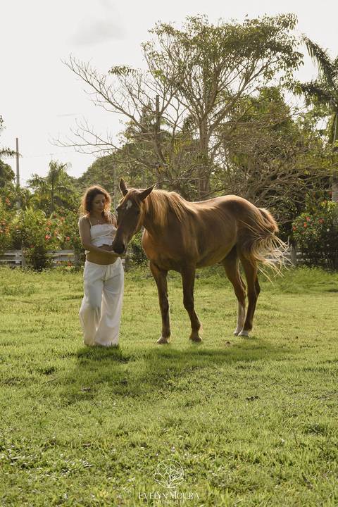 Ensaio Lifestyle Gestante - Ensaio Gestante Estúdio - Niterói, Rio de Janeiro - Evelyn Moura Fotografia - Ensaio de Gestante - Gestante - Newborn - Ensaio em casa - Doce gestar - cavalo - fazenda - parto - maternidade - ensaio externo em Vitória ES'