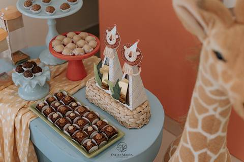 Festa Infantil - Evelyn Moura Fotografia - Fotografia em Niterói, Rio de Janeiro - casa de festa - decoração - decoração de festa - festa colorida- docinhos - bolo - criança - crianças - festa linda - tema safari- casa de festa '