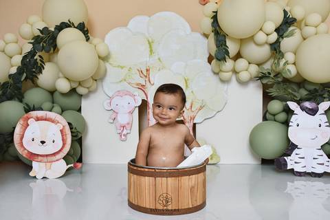 Ensaio de Acompanhamento de bebê. Evelyn Moura Fotografia. Fotógrafa em Niterói, Rio de Janeiro. Newborn. Festa infantil - Smash the cake - Smash the fruit - bebê - ensaio de 1 ano - viral - disney - festa de aniversário - safari'