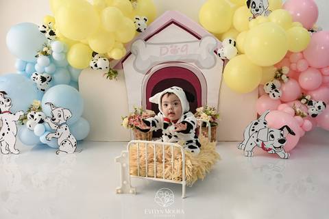 Ensaio de Acompanhamento de bebê. Evelyn Moura Fotografia. Fotógrafa em Niterói, Rio de Janeiro. Newborn. Festa infantil - Smash the cake - Smash the fruit - bebê - ensaio de 1 ano - viral - disney - festa de aniversário - 101 dalmatas disney - floresta '