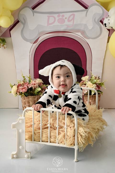 Ensaio de Acompanhamento de bebê. Evelyn Moura Fotografia. Fotógrafa em Niterói, Rio de Janeiro. Newborn. Festa infantil - Smash the cake - Smash the fruit - bebê - ensaio de 1 ano - viral - disney - festa de aniversário - 101 dalmatas disney - floresta '