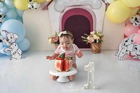 Ensaio de Acompanhamento de bebê. Evelyn Moura Fotografia. Fotógrafa em Niterói, Rio de Janeiro. Newborn. Festa infantil - Smash the cake - Smash the fruit - bebê - ensaio de 1 ano - viral - disney - festa de aniversário - 101 dalmatas disney - floresta '