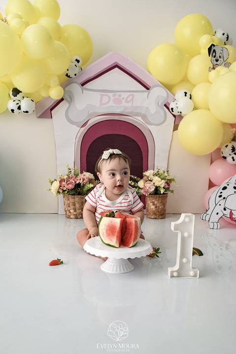 Ensaio de Acompanhamento de bebê. Evelyn Moura Fotografia. Fotógrafa em Niterói, Rio de Janeiro. Newborn. Festa infantil - Smash the cake - Smash the fruit - bebê - ensaio de 1 ano - viral - disney - festa de aniversário - 101 dalmatas disney - floresta '