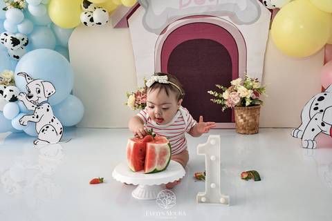 Ensaio de Acompanhamento de bebê. Evelyn Moura Fotografia. Fotógrafa em Niterói, Rio de Janeiro. Newborn. Festa infantil - Smash the cake - Smash the fruit - bebê - ensaio de 1 ano - viral - disney - festa de aniversário - 101 dalmatas disney - floresta '