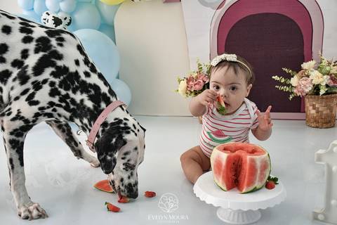 Ensaio de Acompanhamento de bebê. Evelyn Moura Fotografia. Fotógrafa em Niterói, Rio de Janeiro. Newborn. Festa infantil - Smash the cake - Smash the fruit - bebê - ensaio de 1 ano - viral - disney - festa de aniversário - 101 dalmatas disney - floresta '