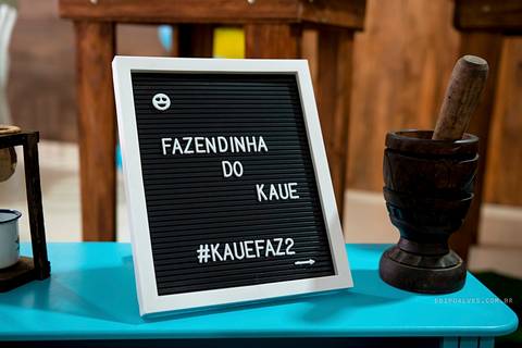 fotografo fazenda rio grande, fotografo de festa infantil, fotografo de aniversario, festa infantil, festa de 2 anos, fotografo curitiba'