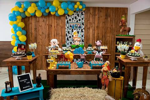 fotografo fazenda rio grande, fotografo de festa infantil, fotografo de aniversario, festa infantil, festa de 2 anos, fotografo curitiba'