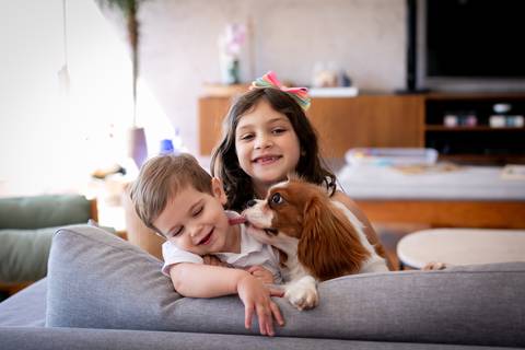 fotos em casa com o pet da familia'