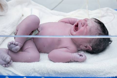 fotografia de parto, fotógrafa de parto, birth photographer, birth photography, cesarean, mãe, pai, família, amigos, casa de saúde são josé, rio de janeiro, maternidade, gestação, últimos minu'