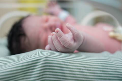 fotografia de parto, fotógrafa de parto, birth photographer, birth photography, cesarean, mãe, pai, família, amigos, casa de saúde são josé, rio de janeiro, maternidade, gestação, últimos minu'