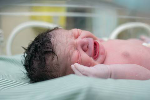fotografia de parto, fotógrafa de parto, birth photographer, birth photography, cesarean, mãe, pai, família, amigos, casa de saúde são josé, rio de janeiro, maternidade, gestação, últimos minu'