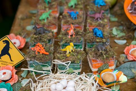 festa infantil, rio de janeiro, festa de menino, dinossauros, decoração, família, bolo, parabéns, fotografia de família'
