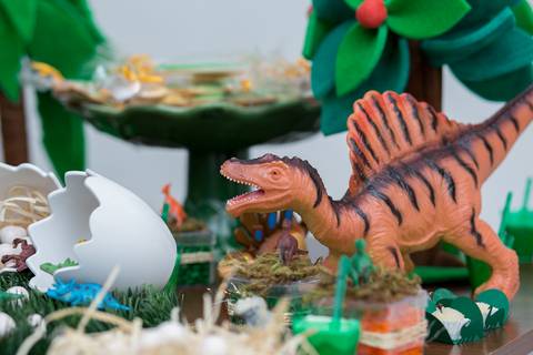 festa infantil, rio de janeiro, festa de menino, dinossauros, decoração, família, bolo, parabéns, fotografia de família'