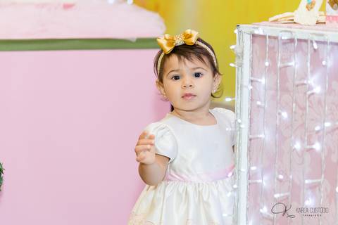 decoração, jardim, pássaros, 1 aninho, rosa, menina, luzes, tironi bambini, xic '