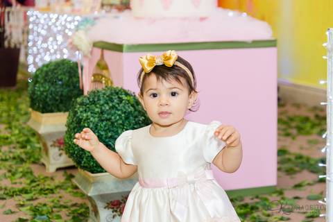 decoração, jardim, pássaros, 1 aninho, rosa, menina, luzes, tironi bambini, xic '