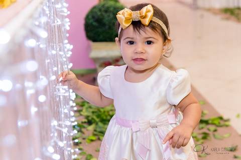 decoração, jardim, pássaros, 1 aninho, rosa, menina, luzes, tironi bambini, xic '