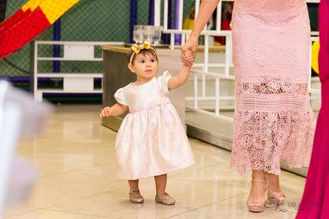 decoração, jardim, pássaros, 1 aninho, rosa, menina, luzes, tironi bambini, xic '