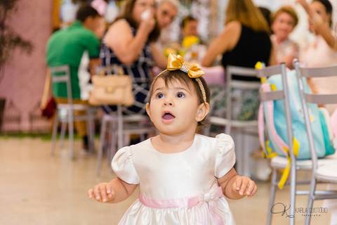 decoração, jardim, pássaros, 1 aninho, rosa, menina, luzes, tironi bambini, xic '