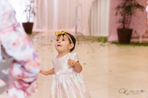 decoração, jardim, pássaros, 1 aninho, rosa, menina, luzes, tironi bambini, xic '