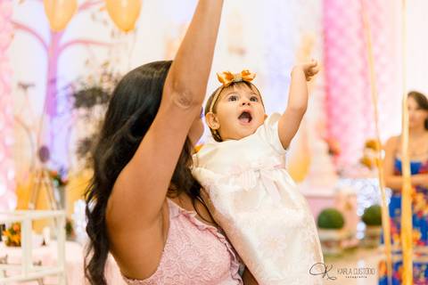 decoração, jardim, pássaros, 1 aninho, rosa, menina, luzes, tironi bambini, xic '