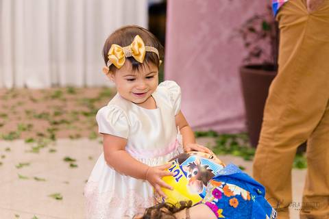 decoração, jardim, pássaros, 1 aninho, rosa, menina, luzes, tironi bambini, xic '