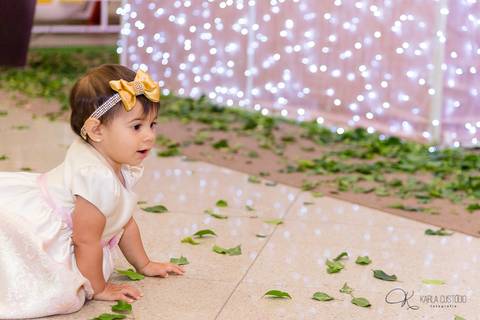 decoração, jardim, pássaros, 1 aninho, rosa, menina, luzes, tironi bambini, xic '